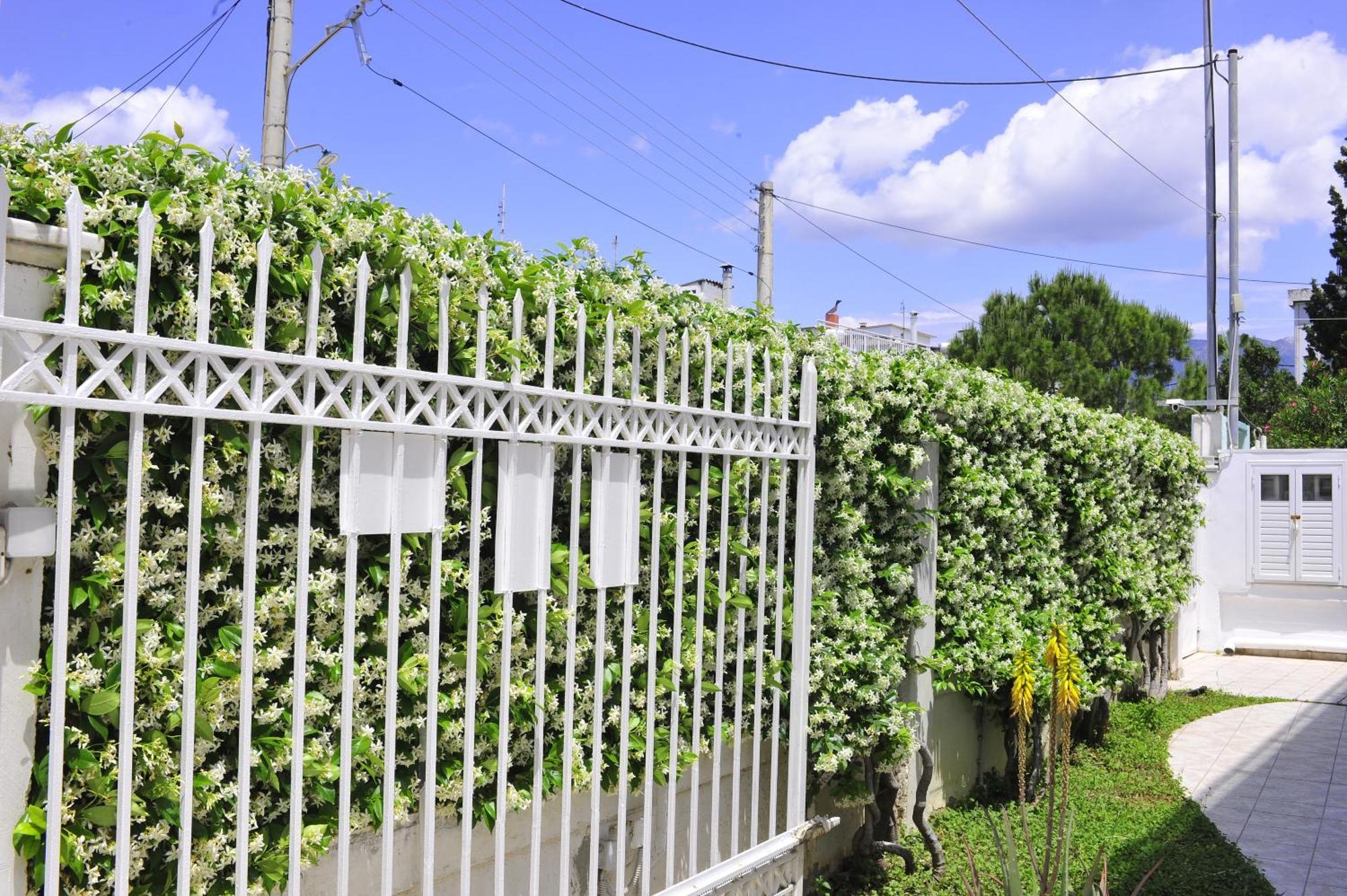 Peloponeese Corinthos Seaside Villa For Short Rent Esterno foto